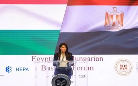 المشاط: الحكومة مهتمة بتحسين المناخ لجذب الاستثمارات بجميع القطاعات