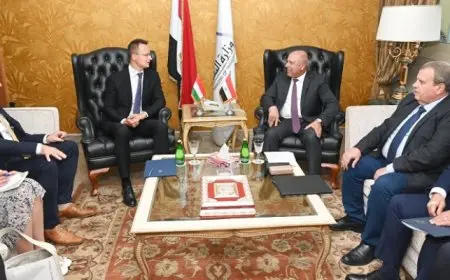 بال .. كامل الوزير يبحث مع وزير الخارجية والتجارة المجري سبل التعاون المشترك في مجالي الصناعة والنقل