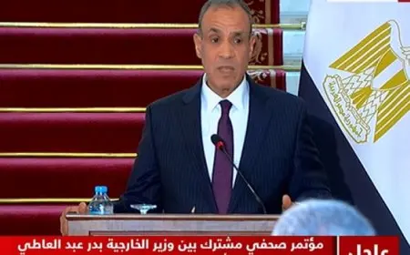 وزير الخارجية: زيارة بلينكن للقاهرة تهدف لإطلاق مجموعة عمل خاصة بالتعاون المشترك