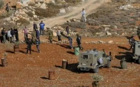 الاحتلال الإسرائيلي يستولي على مئات الدونمات من أراضي طوباس والأغوار