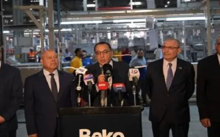 بال وال..مدبولى: الحكومة استهدفت اجتذاب 3 شركات عالمية عملاقة