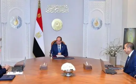 الرئيس السيسي يوجه باستمرار تقديم الخدمات الملاحية والبحرية بقناة السويس