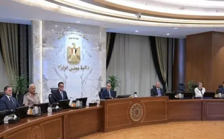 الحكومة توافق على عدة قرارات أبرزها اتفاق الدعم الفني للمناطق الصناعية للجلود والأثاث والرخام بين مصر وإيطاليا