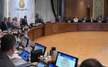 خلال اجتماع مجلس الوزراء.. وزير الكهرباء يستعرض جهود الوزارة لخفض الفقد في شبكات توزيع الكهرباء