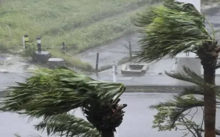 إعصار بولاسان يضرب مدينة شانغهاي بالصين