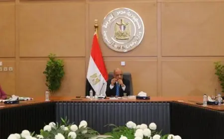 وزير الكهرباء يبحث مع مجموعة الصين الجنوبية التعاون في مجالات تحسين الخدمات وخفض الفقد