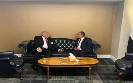 وزير الخارجية يلتقي نظيره الجزائري