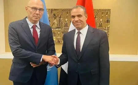 وزير الخارجية: مصر تواصل جهودها للنهوض بأوضاع حقوق الإنسان بمفهومها الشامل