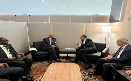 وزير الخارجية يبحث مع نظيره السوداني الأمن المائي المشترك