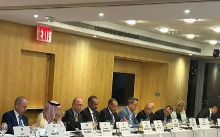 وزير الخارجية يؤكد على خطورة الوضع في الأراضي الفلسطينية المحتلة