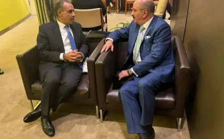 وزير الخارجية والهجرة يواصل عقد لقاءات جانبية على هامش اعمال قمة المستقبل