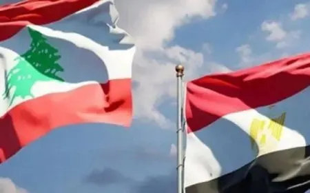 مصر ولبنان يؤكدان أهمية إصدار قرار ملزم لإسرائيل لوقف عدوانها على الأراضي الفلسطينية واللبنانية