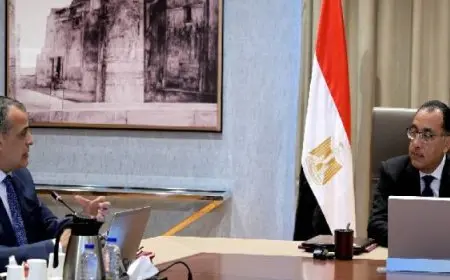 رئيس الوزراء يتابع مع وزير الدولة للإنتاج الحربي عددا من ملفات عمل الوزارة