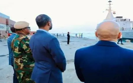 “الخارجية”: مصر تدعم الجيش الصومالي بشحنة مساعدات عسكرية لبناء قدراته