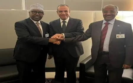 عبد العاطي يلتقي وزيري خارجية الصومال وإريتريا في اجتماع ثلاثي مشترك