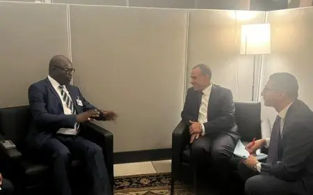 عبد العاطي يبحث ووزير خارجية الجابون دعم العلاقات الاقتصادية