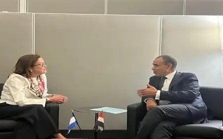 وزير الخارجية لنظيرته السلفادورية: نتطلع لتعزيز التعاون الثنائي مع السلفادور وتوسيع نطاقه