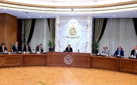 رئيس الوزراء: الدولة تعطى الأولوية القصوى لقطاع الطاقة الجديدة والمتجددة