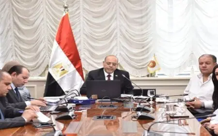 وزير العمل: توجيهات الرئيس السيسي مساندة كل عمل عربي مشترك يؤدي إلى التنمية وتوفير فرص العمل للشباب