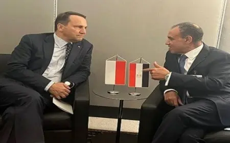 وزير الخارجية لنظيره البولندي: نتطلع لدعم وارسو لتطوير العلاقات بين مصر والاتحاد الأوروبي