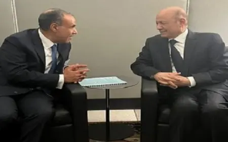 وزير الخارجية يلتقي برئيس المجلس الرئاسي اليمني