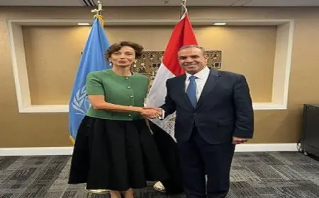 وزير الخارجية والهجرة يلتقي مع مُدير عام منظمة اليونسكو
