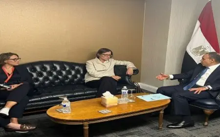 وزير الخارجية والهجرة وشئون المصريين بالخارج يلتقى رئيسة اللجنة الدولية للصليب الأحمر