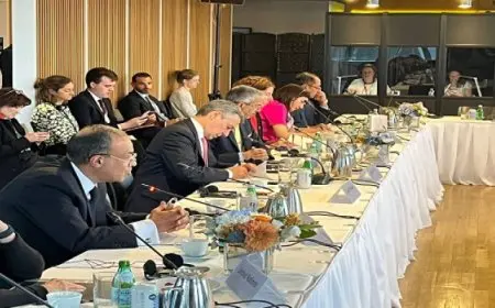 وزير الخارجية يشارك في اجتماع وزاري حول السودان