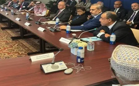 وزير الخارجية يشارك في اجتماع اللجنة العربية الإسلامية مع السكرتير العام للأمم المتحدة