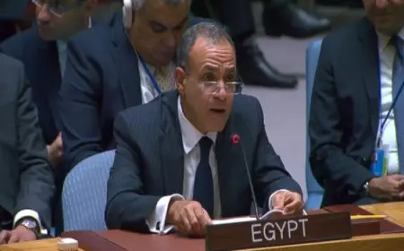 وزير الخارجية: ما يحدث الآن في لبنان هو عدوان مكتمل الأركان