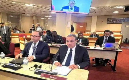 وزير الخارجية يشارك في الاجتماع الوزاري لمجلس السلم والأمن الأفريقي