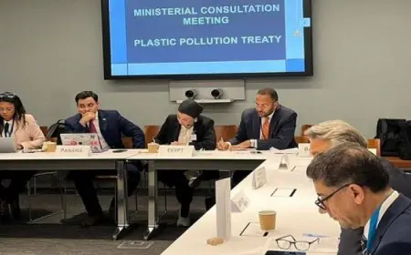 ياسمين فؤاد : التعامل مع “التلوث البلاستيكى” ليست سهلة وبها تحديات كثيرة