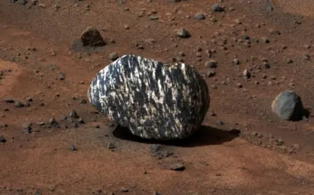 صخرة نادرة على المريخ بخطوط «وحشية»