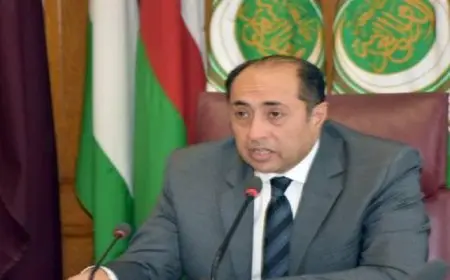 السفير حسام زكي : ضرورة الحفاظ على مؤسسات الدولة السودانية