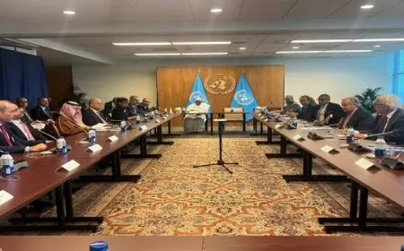 وزير الخارجية والهجرة يشارك في اجتماع اللجنة العربية الإسلامية مع السكرتير العام للأمم المتحدة