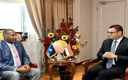 وزير الإسكان يبحث مع نظيره الصومالى تعزيز التعاون المشترك ونقل التجربة العمرانية المصرية