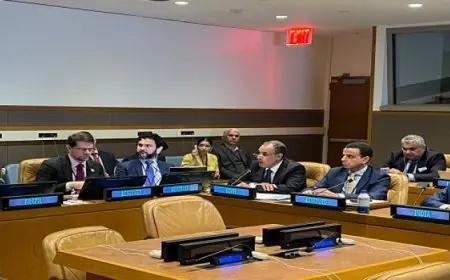 وزير الخارجية يشارك في اجتماع وزراء خارجية تجمع البريكس