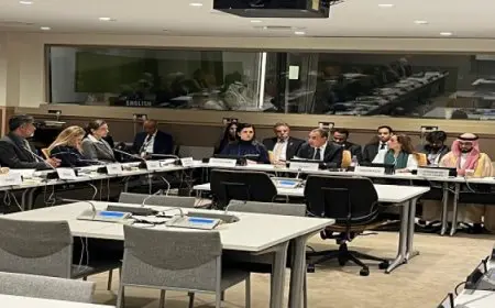 بال .. مصر تستضيف حدثاً حول مواجهة تحديات مقاومة مضادات الميكروبات علي هامش الجمعية العامة للأمم المتحدة