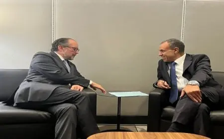 وزير الخارجية يلتقي وزير خارجية النمسا على هامش أعمال الدورة 79 للجمعية العامة للأمم المتحدة