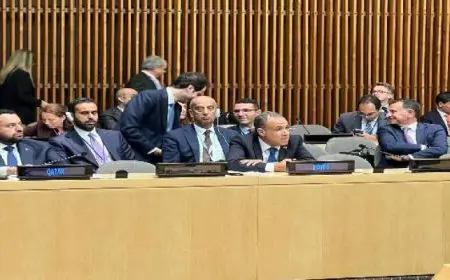 وزير الخارجية يشارك في اجتماع وزاري حول القضية الفلسطينية وتنفيذ حل الدولتين