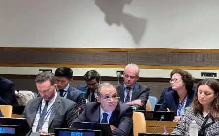 وزير الخارجية يشارك في اجتماع لجنة الاتصال المعنية بتنسيق المساعدات للشعب الفلسطيني