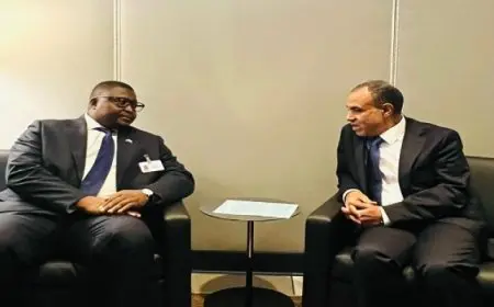 وزير الخارجية يلتقي مع وزير خارجية سيراليون