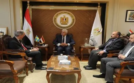 وزير التعليم العالي يبحث مع سفير مملكة السويد بالقاهرة سُبل تعزيز التعاون المشترك