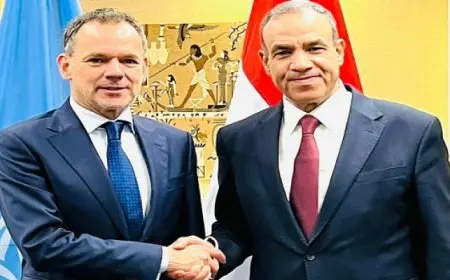 وزير الخارجية: مصر تواصل جهودها للعمل على خفض التصعيد للحفاظ على أمن واستقرار المنطقة