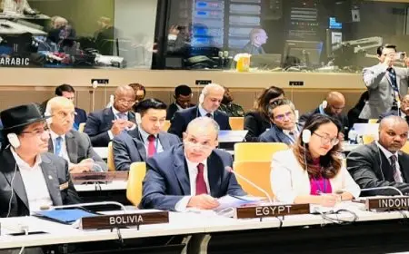 وزير الخارجية يشارك في الاجتماع الوزاري حول المبادرة الصينية البرازيلية لتسوية الأزمة الأوكرانية