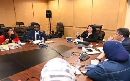 التضامن الاجتماعي ومنظمة العمل الدولية تبحثان تعزيز أوجه التعاون في الملفات المتعلقة بالتشغيل