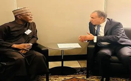 وزير الخارجية يشيد بمستوى العلاقات الثنائية بين مصر والنيجر