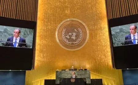 بال وال .. وزير الخارجية : أولويتنا القصوى وقف حمام الدم بشكل فوري ودائم وغير مشروط وإدخال المساعدات إلى غزة