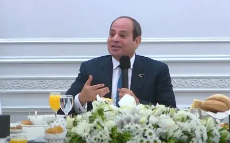 الرئيس السيسي: الحوار الوطني في حالة انعقاد دائم .. ومصر تبذل جهدا من أجل استقرار السودان والصومال