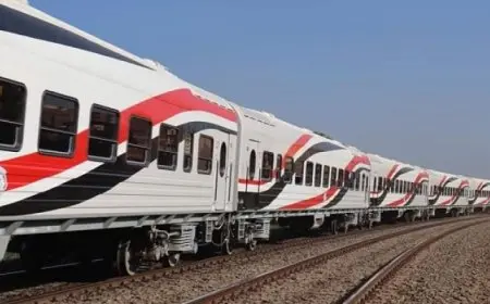 “النقل”: وصول الدفعة الأولى من أوناش محطة “تحيا مصر 1” بميناء دمياط تمهيدا لافتتاحها